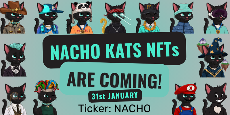 sardikjanas's tweet image. It's official the minting of $NACHO's #NFT is on friday 31 time to be decided(Dubai time).
you have time to prepair the #KSPR-BOT WITH 2200 #Kaspa/NFT. It will be sold out very fast
@NachoWyborski