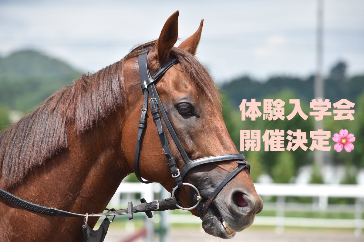 体験入学会開催します🌸 夏にも実施は予定していますが、研修修了間近の迫力ある訓練を見れるのが今回のオススメポイントです💫  https://t.co/NNhNgs7dgt #競走馬 #競馬 #馬 #JRA #ボクジョブ #サラブレッド #馬好き #牧場 #馬の仕事 #就活  #乗馬 #馬術 #引退競走馬 ...