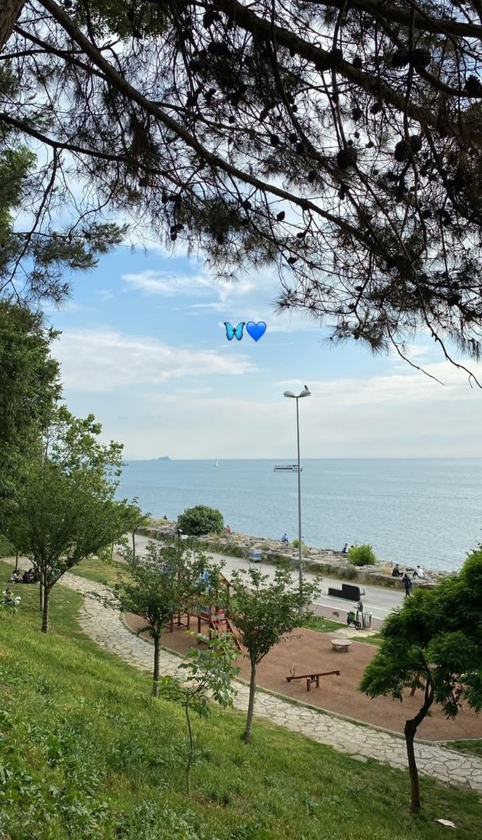 thelucisedd's tweet photo. today I walked 10k steps in Istanbul, Turkey https://t.co/1K6V3qwtB3