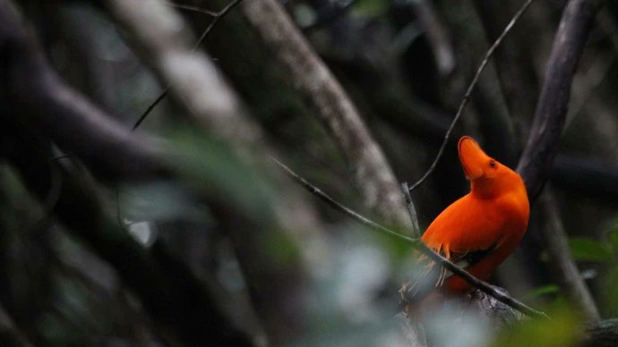 Manchester Met Science and Engineering tweet media