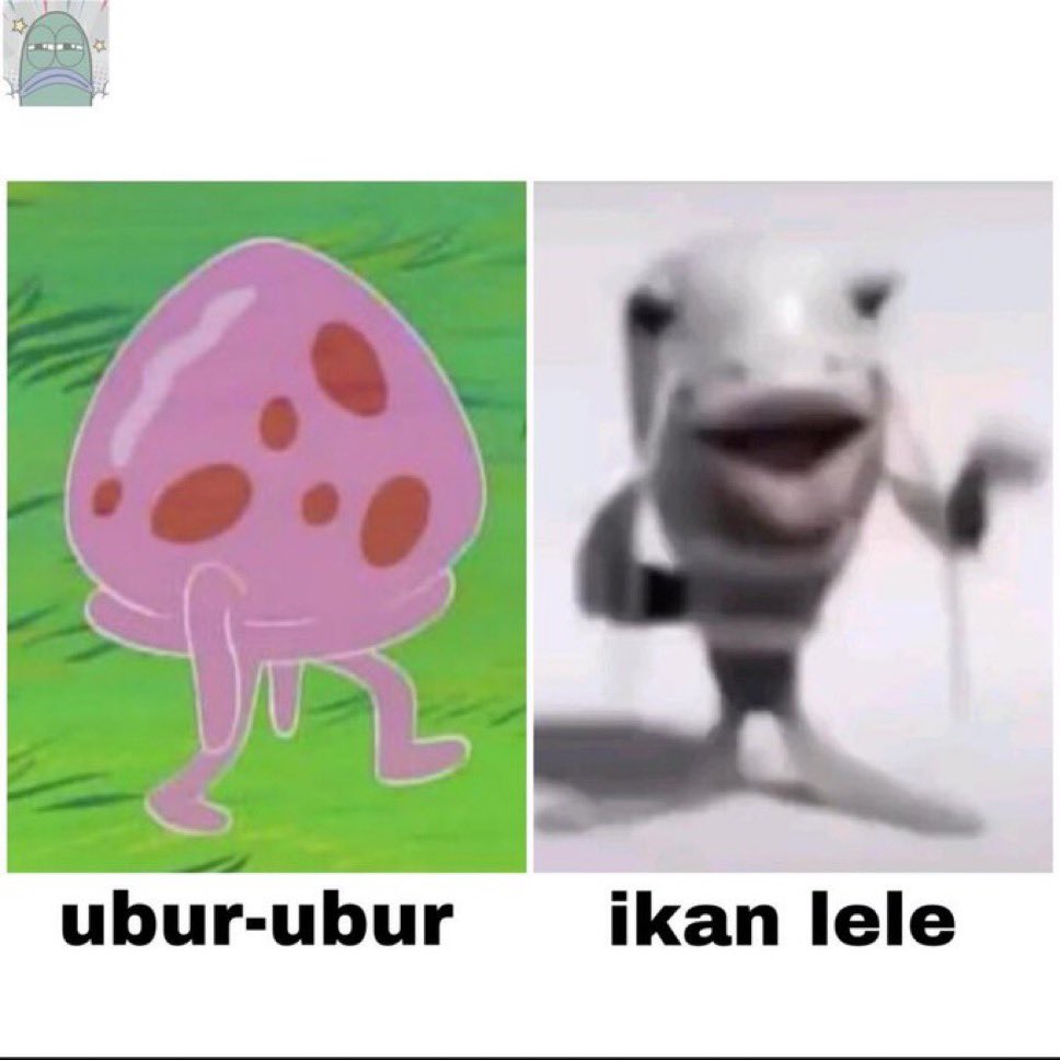 ubur-ubur ikan lele, bsk masuk le