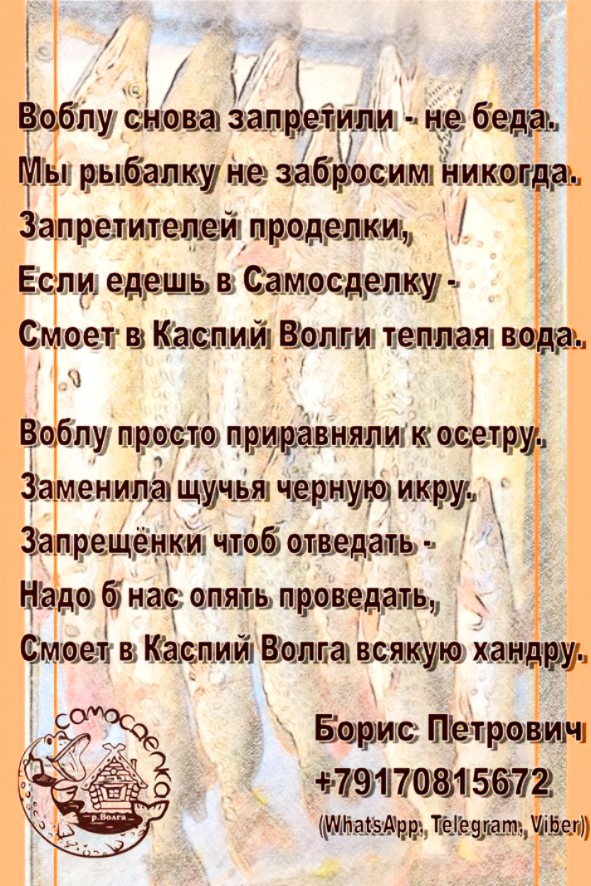 Samosdelka's tweet photo. Открыто бронирование на сезон 2025. https://t.co/9hweizG12s https://t.co/VlHcSTUcjq