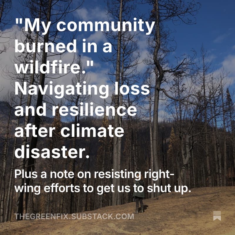 The Green Fix tweet media