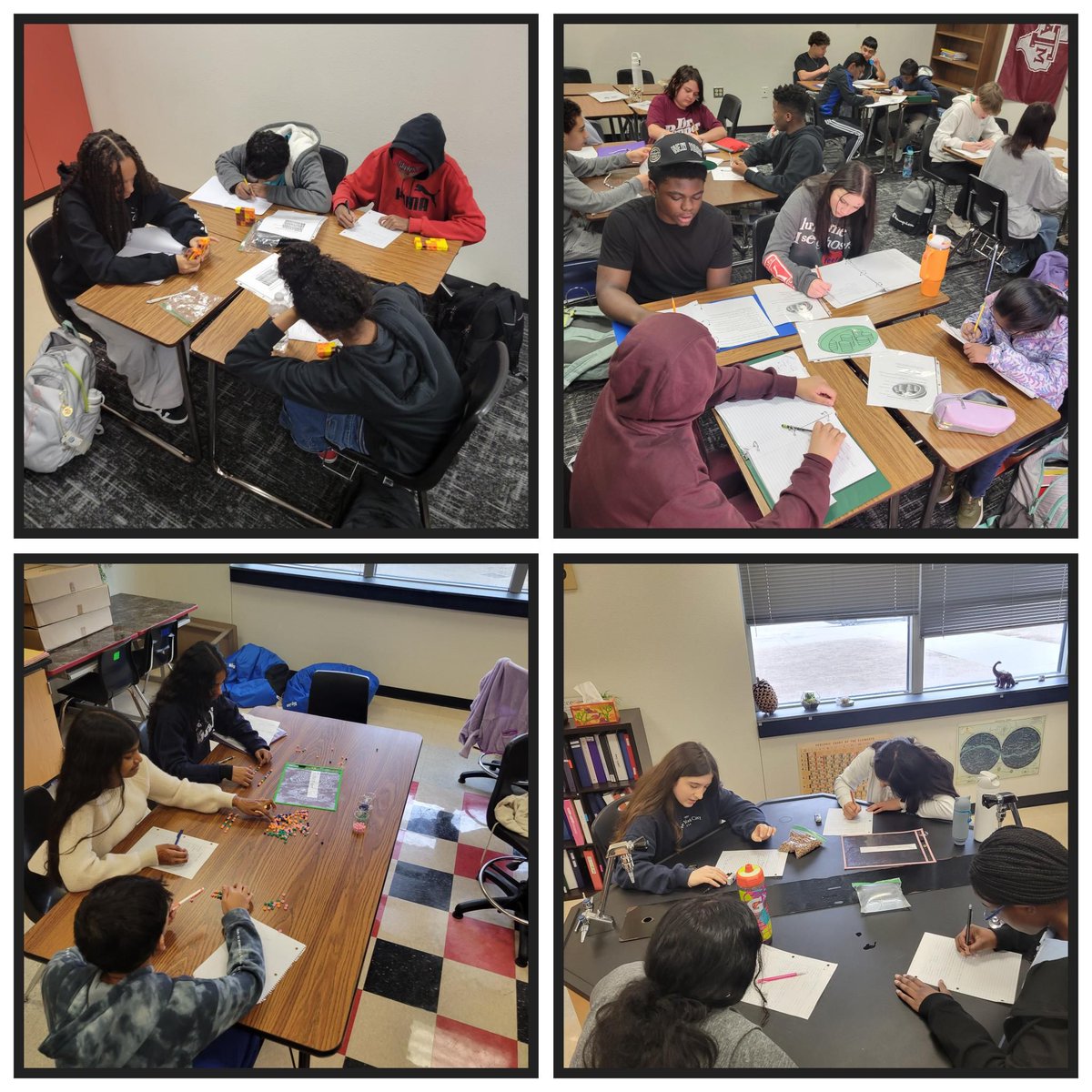 FowlerFalcons07's tweet image. 8th graders are bringing cells to life! 🧫🔬 From nucleus to mitochondria, they’re creatively modeling the structure and function of cell parts. Science in action! 🚀 #STEM #ScienceClass