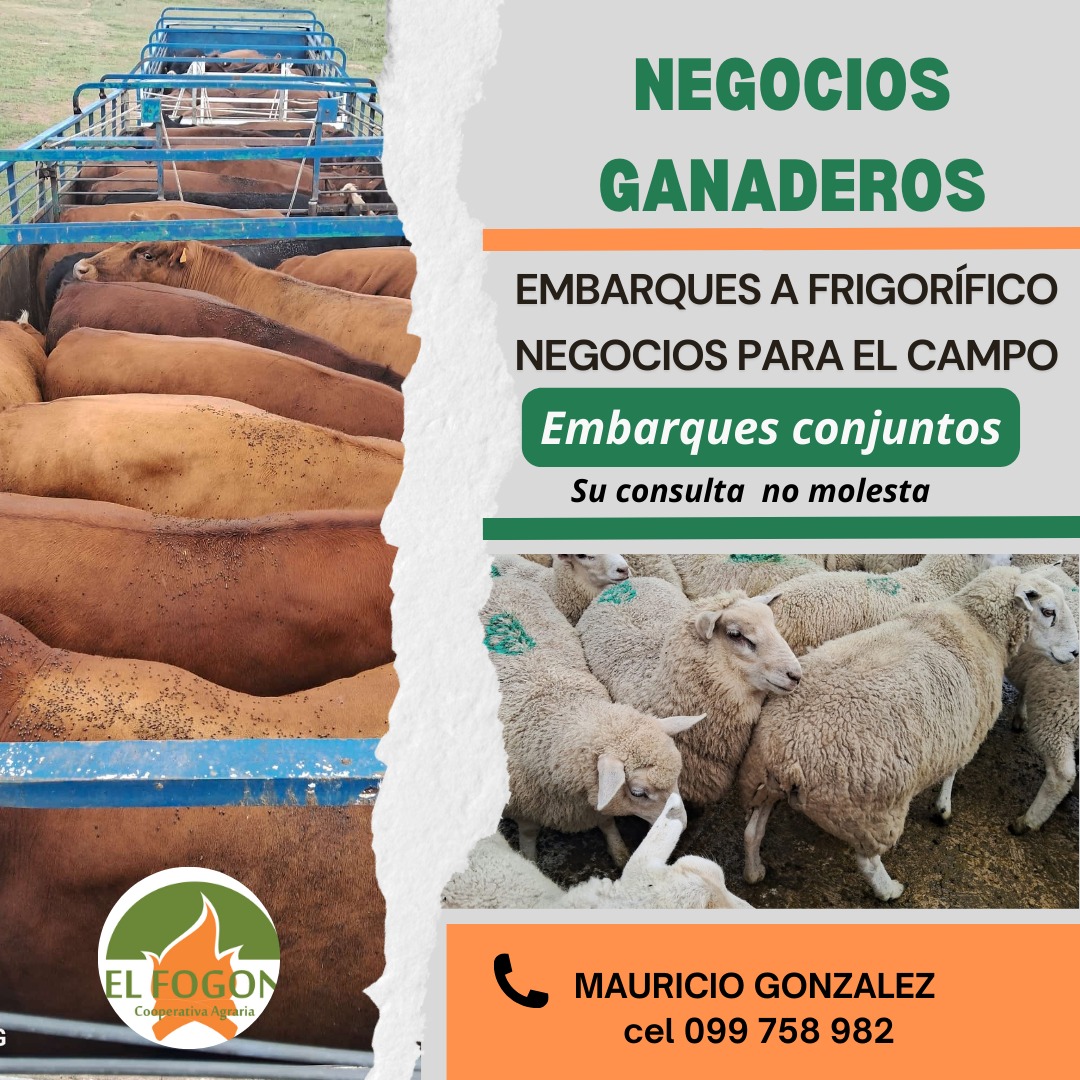 Negocios Ganaderos El Fogón
Embarques a Frigorífico y negocios para el campo