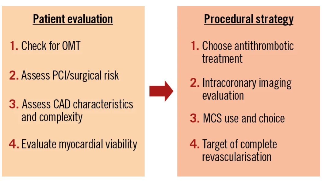 EXPERT CONSENSUS
High-risk percutaneous coronary intervention in patients with reduced left ventricular ejection fraction deemed not suitable for surgical revascularisation. A clinical consensus statement from the European Association of Percutaneous Cardiovascular Interventions