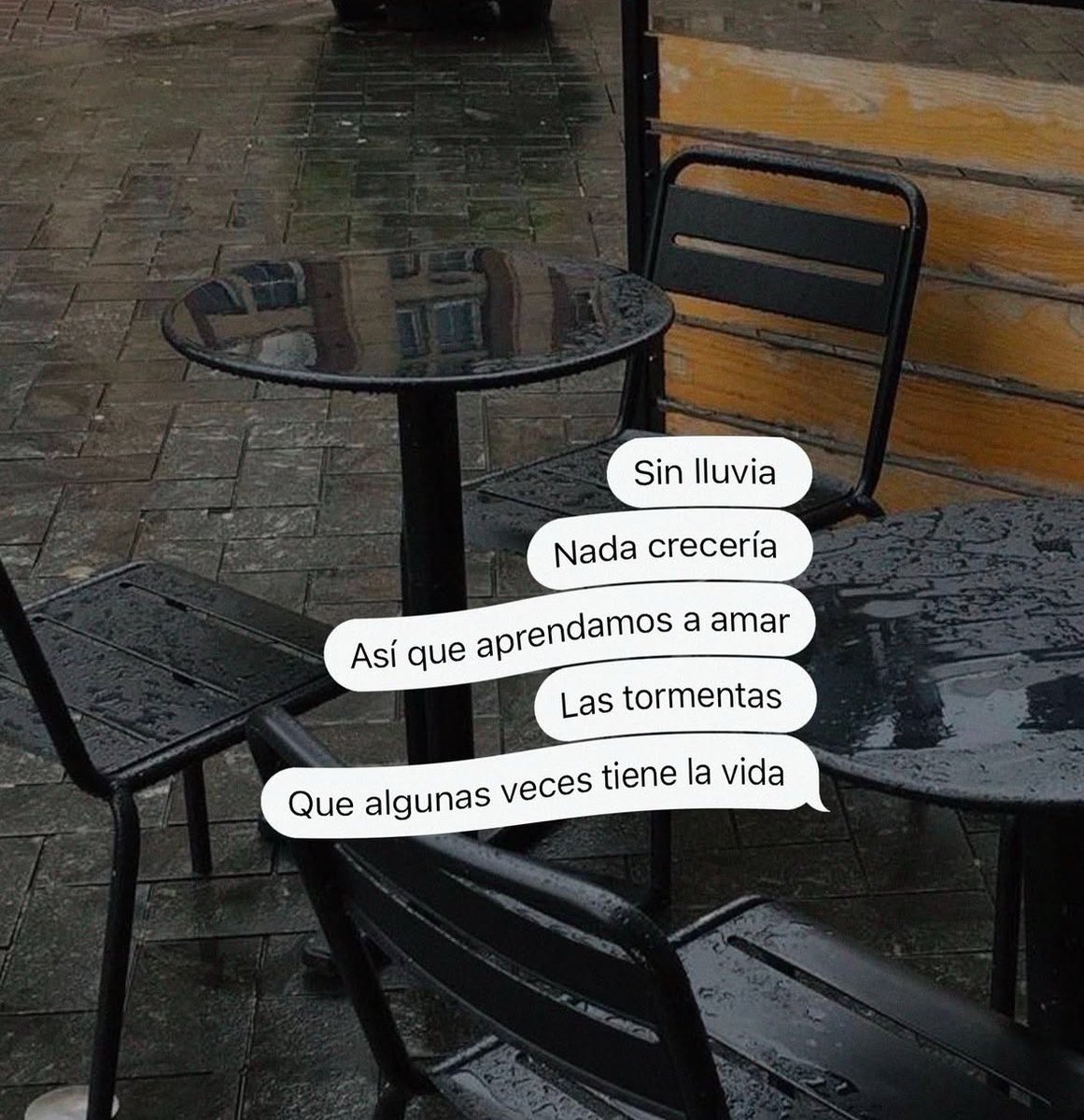 Dilo con dibujos (@dilocondibujos_) on Twitter photo 