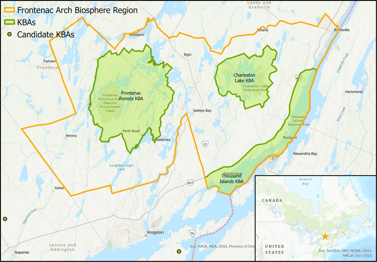 New KBA alert! 🎉

 Thousand Islands National Park has some of the highest diversity of reptiles, amphibians, and invertebrates of any national park in Canada 🐍 #biodiversity