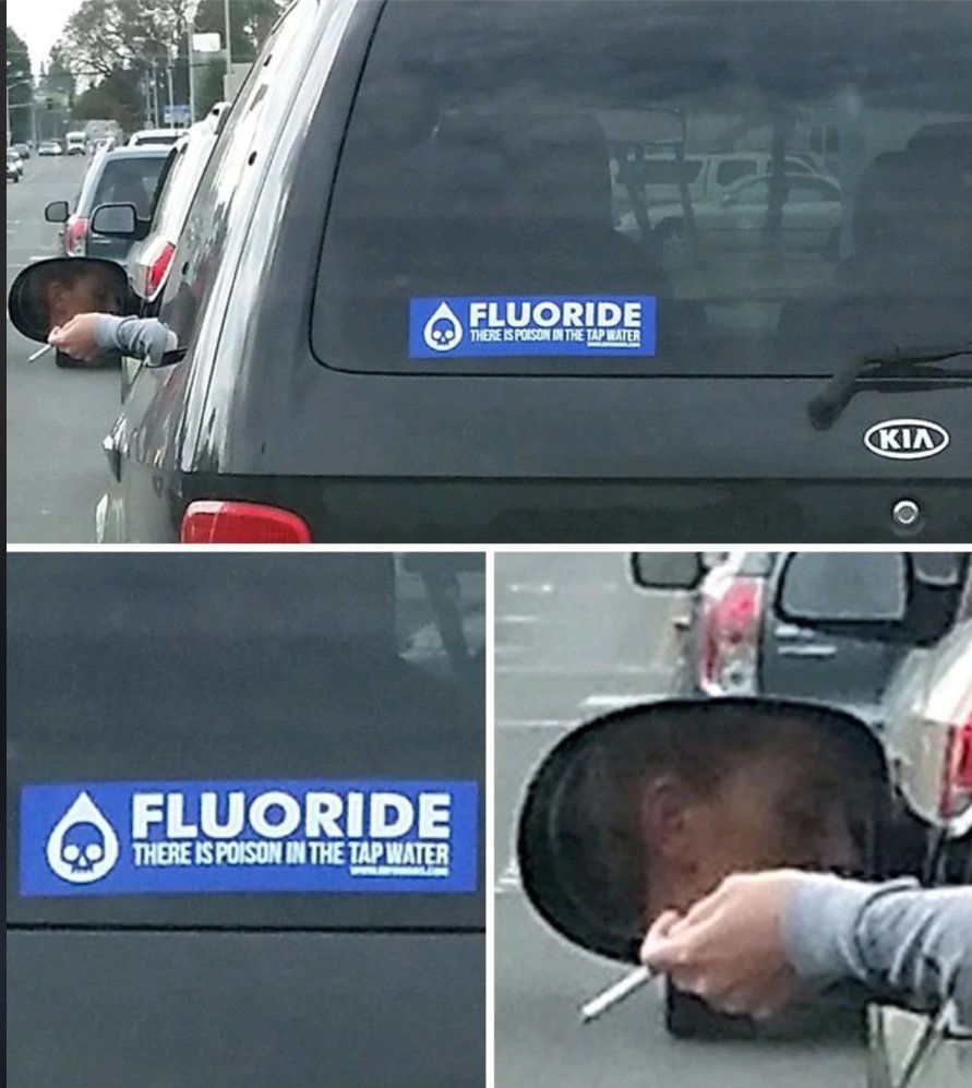 prevtsghost's tweet image. RFK, Jr. Supporter