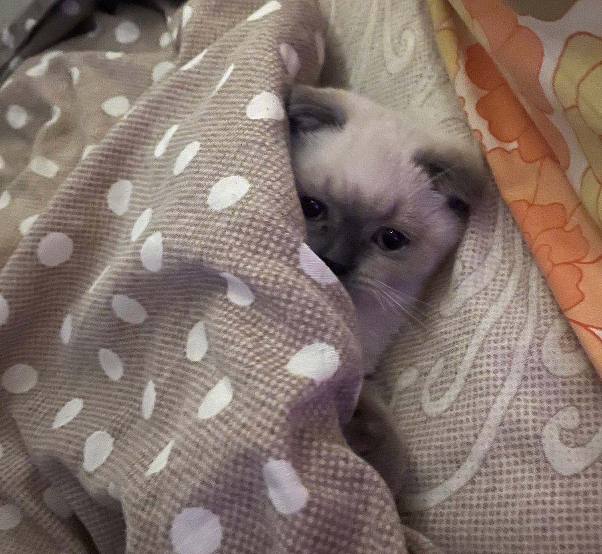 yok ben öyle çok kafama takmam ya