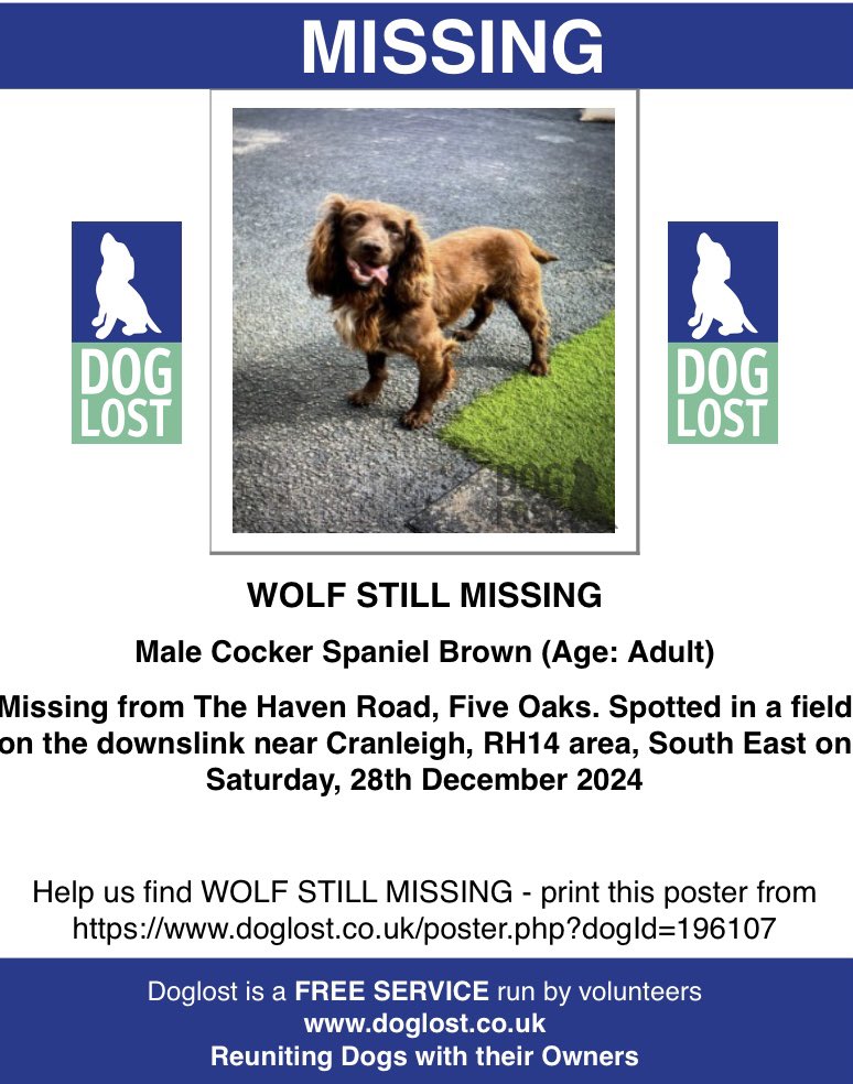 rosieDoc2's tweet photo. #SpanielHour
Could people in the area of #fiveOaks WOLF was spotted on the downslink near #Cranleigh #RH14
Missing since 28/12/24 ANOTHER LOST SOUL OUT IN ALL WEATHERS/TWO STORMS ☔️
https://t.co/zE2JpQEY81
@cranleighschool @CranleighCC @CranesFCWomen @Eloquencealways @HunnyJax https://t.co/JdDm85y3V8