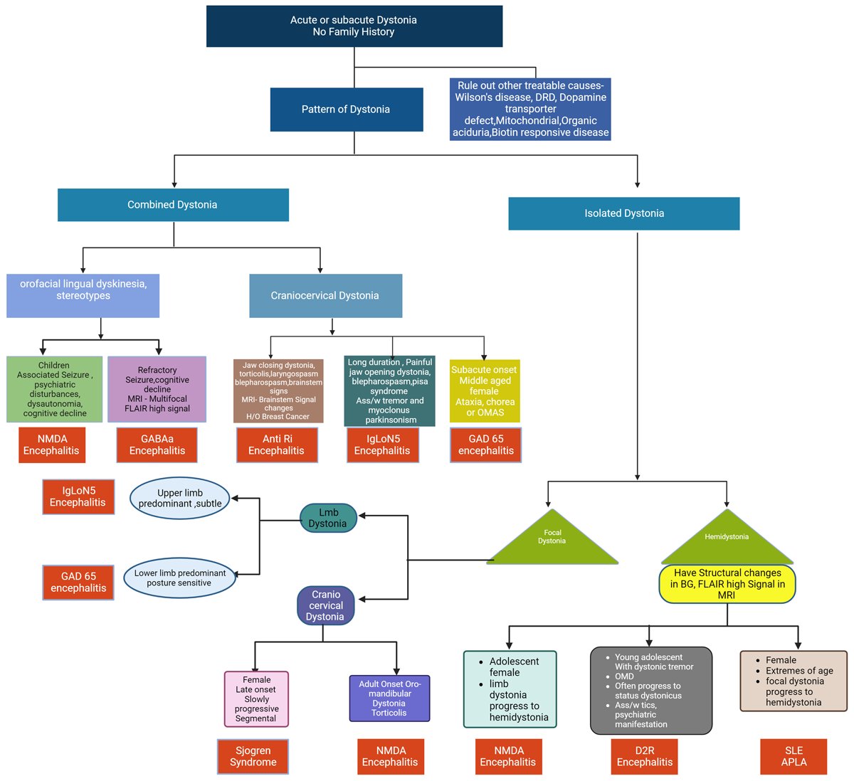 tremorjournal's tweet image. When should you be suspicious for an underlying autoimmune etiology for dystonia?
Check out this scoping review to find out:
tremorjournal.org/articles/10.53…
#Neurology #NeuroX #MedEd