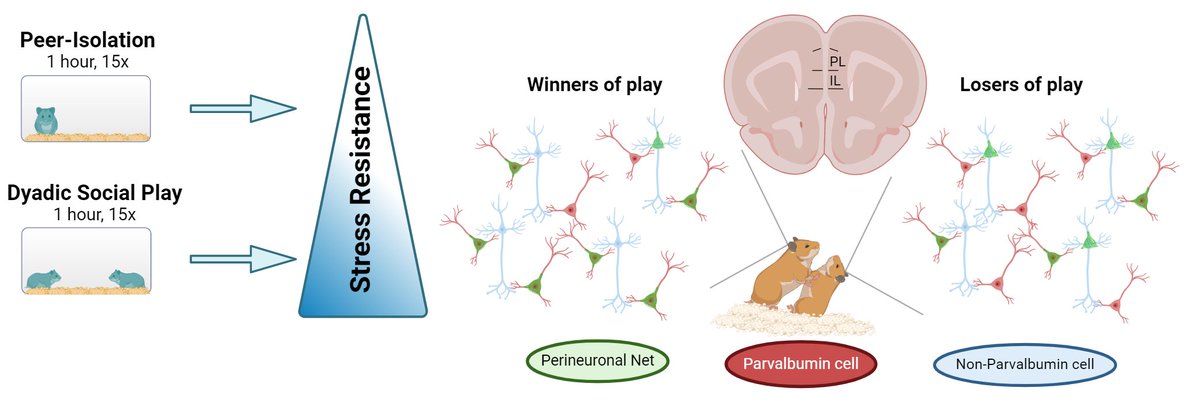 Conner Whitten tweet media