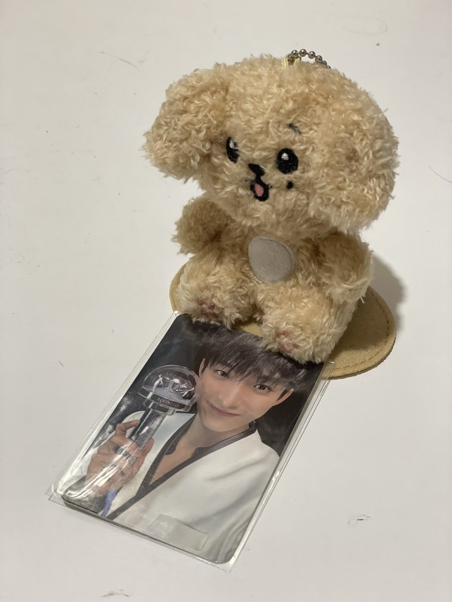 ‧₊ 여름날 tweet media