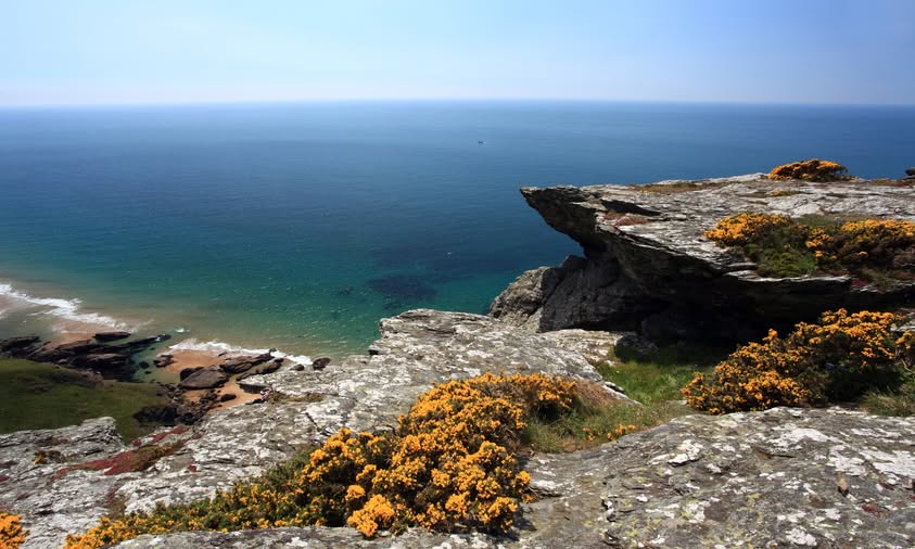 Never Miss a #SouthDevon Moment! 🗞️

Stay in the loop with our newsletter! Be the first to know about exciting events, seasonal updates, and exclusive offers 🌟

Sign up today 👉 shorturl.at/OTR0s