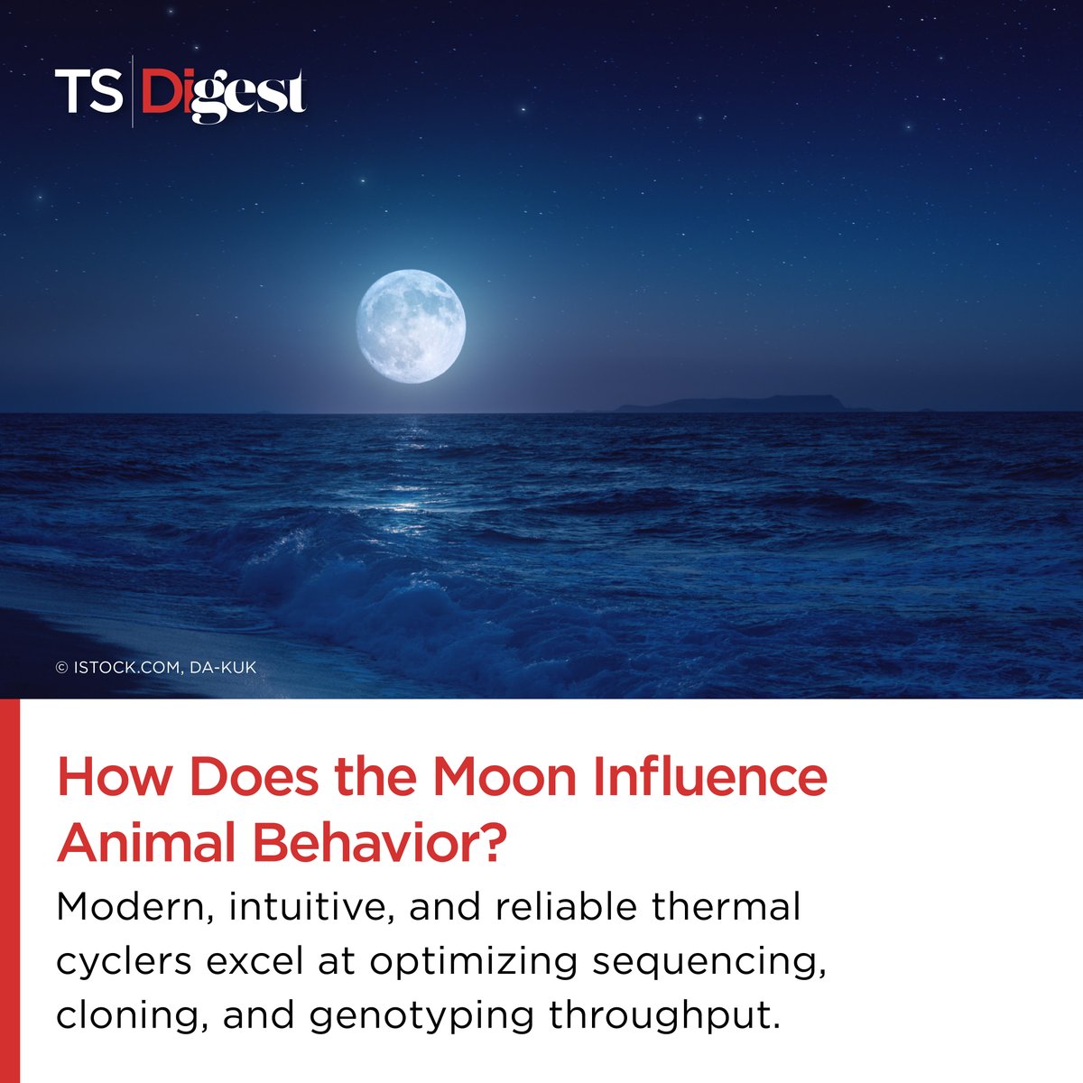 TheScientistLLC's tweet image. Marine bristleworms synchronize their internal clocks using the light of the full moon and specialized photoreceptors that allow them to distinguish sunlight from moonlight.
Learn more: bit.ly/3WgC0vG