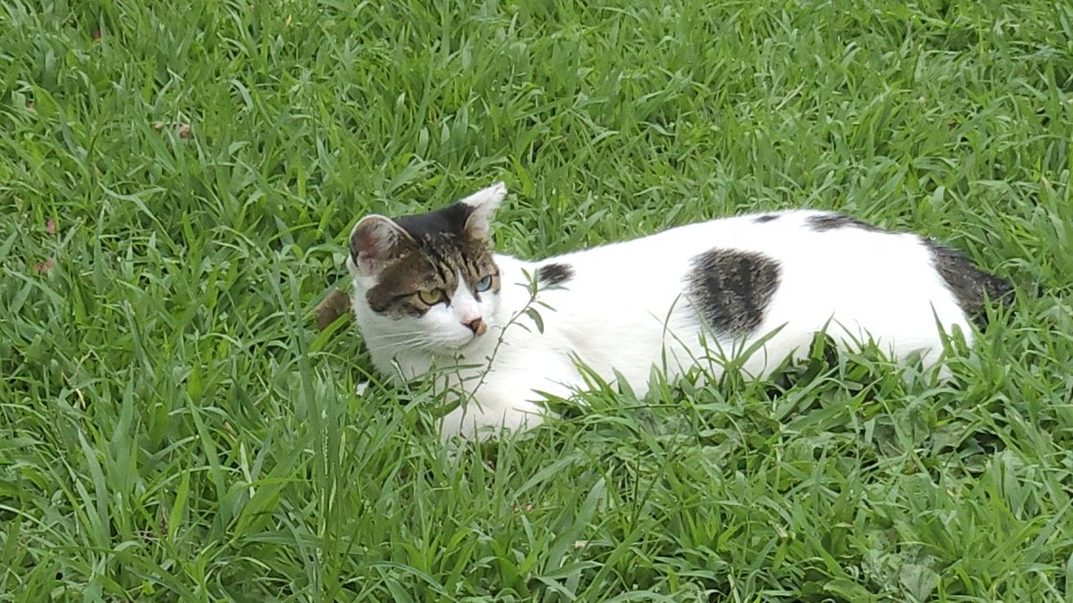 #개발자_트친소 #여성개발자_트친소
#개발자트친소

프론트엔드 전향을 위해 공부 중인 취준생입니다.
낯을 많이 가리지만, 커피챗을 많이 해보고 싶어서 사진 계정이었지만 개발 계정으로 바꿨습니다🤣

사진 찍기, 독서, 고양이 좋아합니다🐱