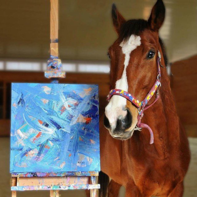 horse tweet media