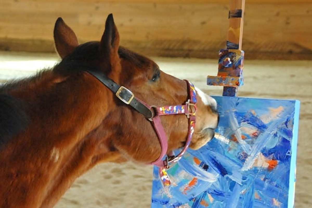 horse tweet media