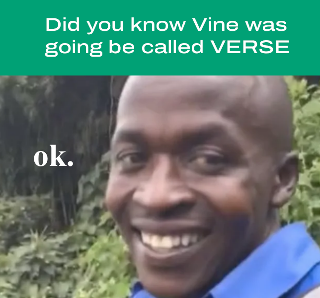 VERSE tweet media