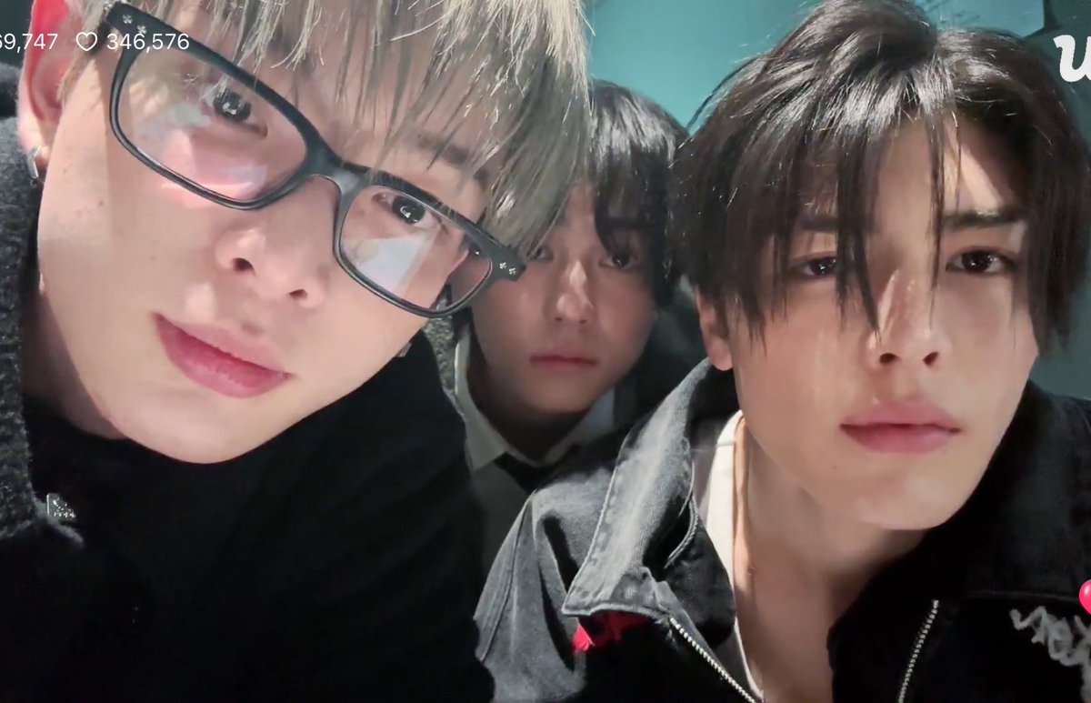 .   기니휘기    벌에쏘인견     초멋진견(막내)