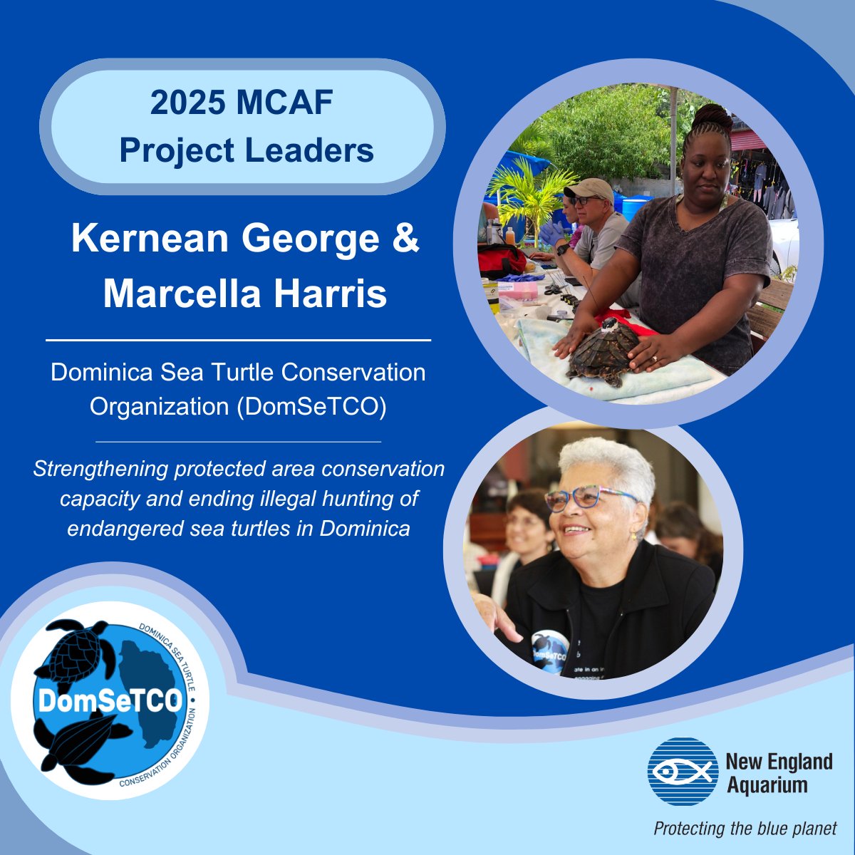 We are excited to introduce our first project leaders of 2025, Kernean George and Marcella Harris of the Dominica Sea Turtle Conservation Organization (<a href="/Domsetco/">DomSeTCO</a>)! Their MCAF-supported project will provide sea turtle husbandry and ecotourism training to local conservationists 🐢