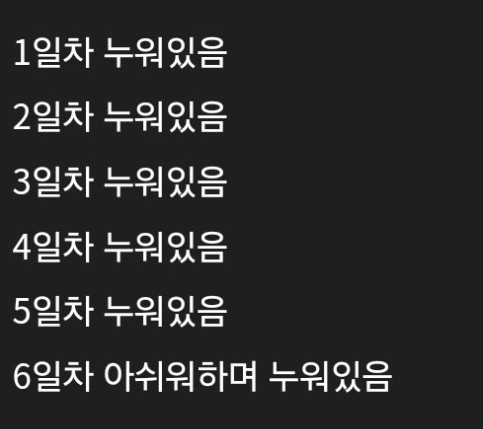 WkfxjfrP's tweet photo. 이번 설날 연휴 요약 https://t.co/jmTAbx07u8