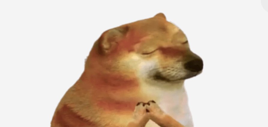 CatorceNoise's tweet image. Ay! quien pidió Asilos Magdalena? ❤️ me fui al 2005 #PoderosoCumpleRulo