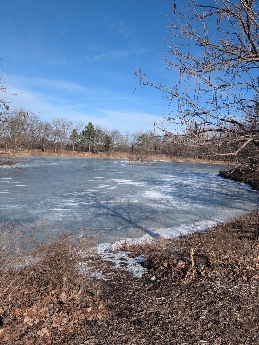 d_bead's tweet image. Love will find a way. Walk and relax in nature today. #NatureMedicine #HealingExercise #FreeTherapy ☺️