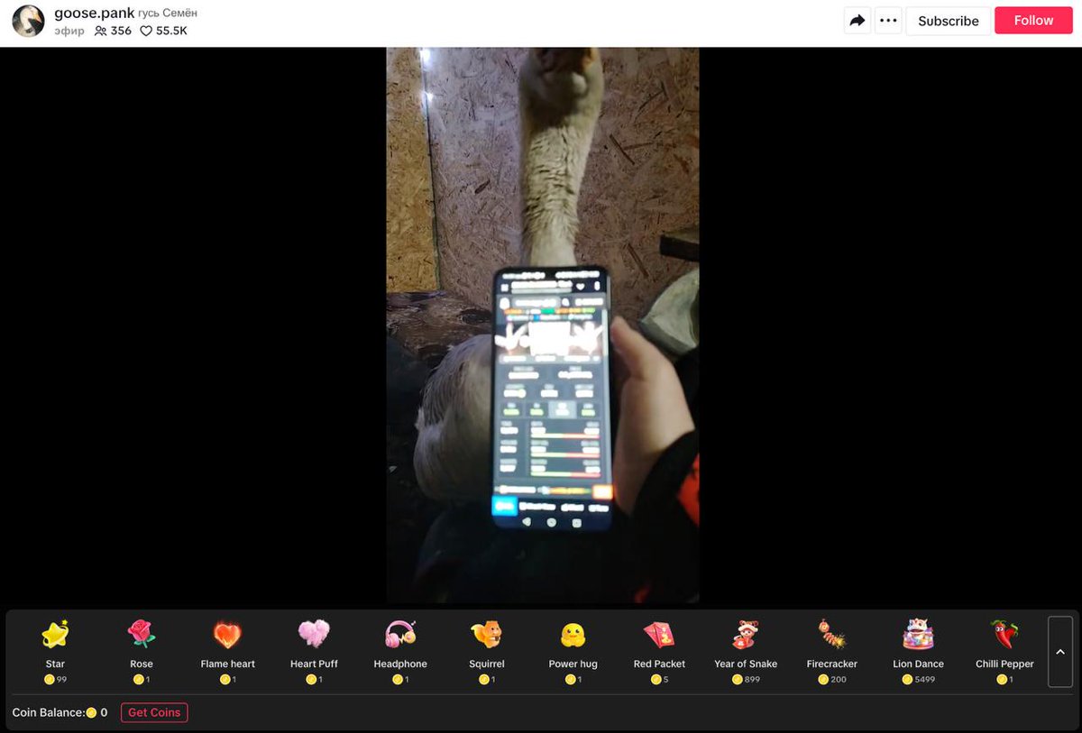 The Most Viral Goose On TikTok | SEMEN tweet media