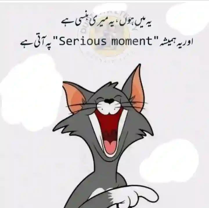 Venisa doll tweet media