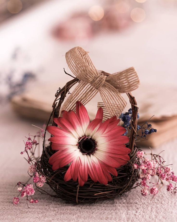 @l6eAmBpuHuqq
16G

مساء الخير
والعافيه🥀