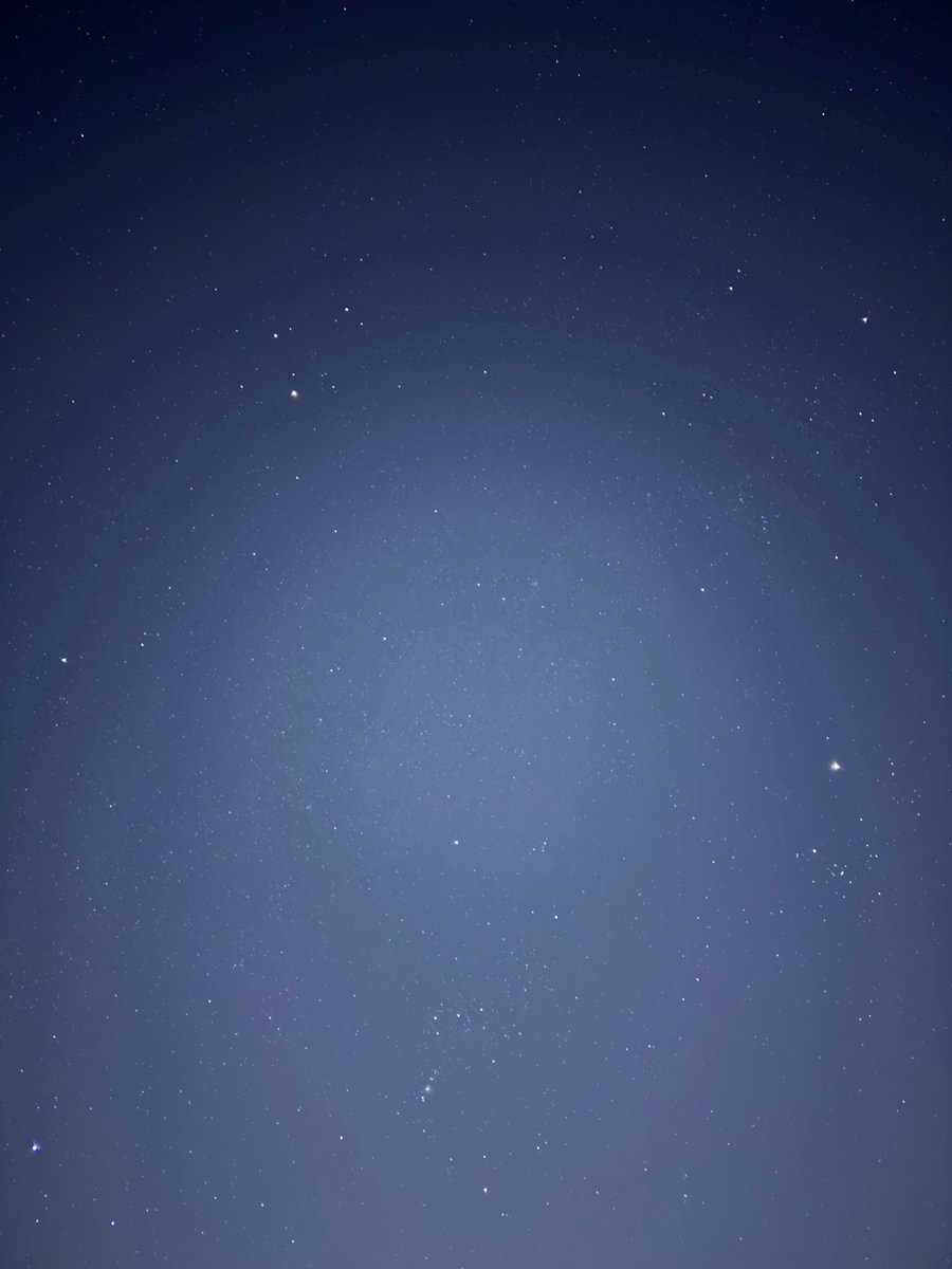 ＊キャサリンページになります＊ Amazon.co.jp: マジックザギャザリング MTG 日本語 第7版 スターター