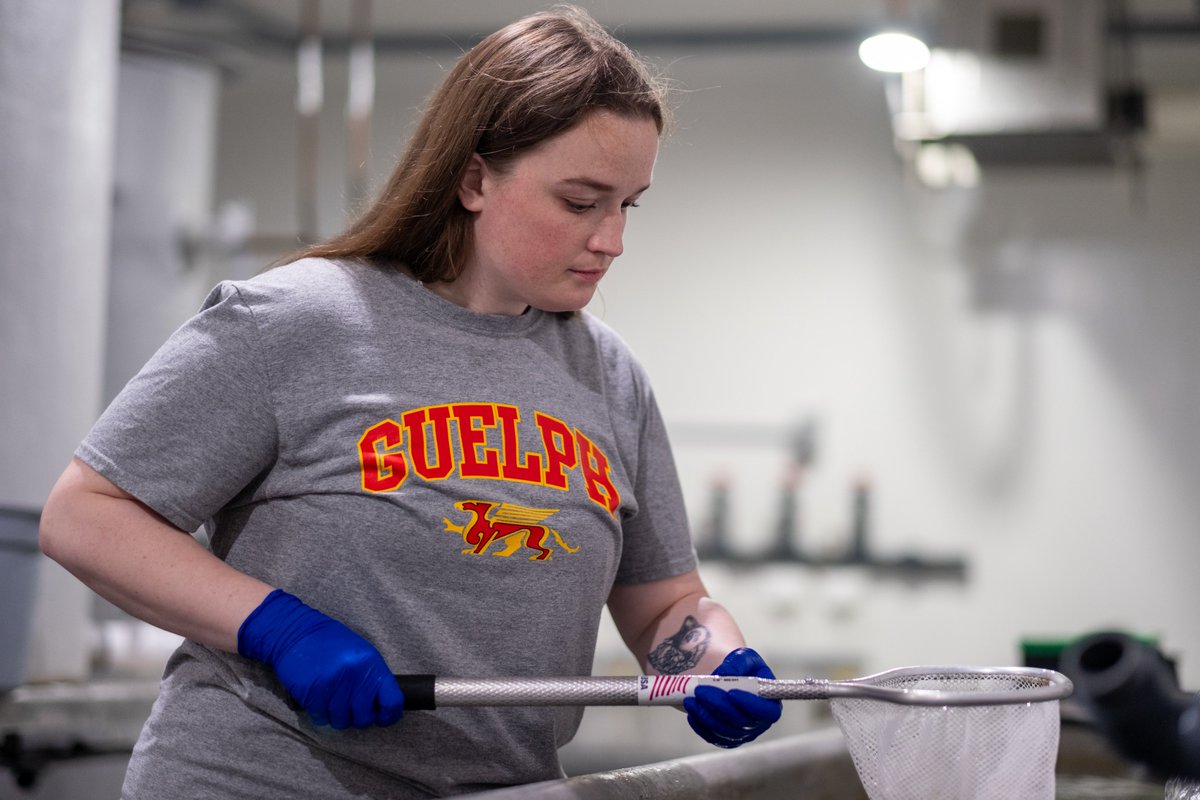 David Huyben (@davidhuyben) on Twitter photo If you are a U of Guelph student and interested in fish, please apply to my USRA summer position
#133630 - Making fish feed, sampling fish and updating web content. Find it on the Experience Guelph website and apply before Feb 24th: 🐟🔬 🫘
experienceguelph.ca
<a href="/ABSc_UofG/">Animal Biosciences</a> If you are a U of Guelph student and interested in fish, please apply to my USRA summer position
#133630 - Making fish feed, sampling fish and updating web content. Find it on the Experience Guelph website and apply before Feb 24th: 🐟🔬 🫘
experienceguelph.ca
<a href="/ABSc_UofG/">Animal Biosciences</a>