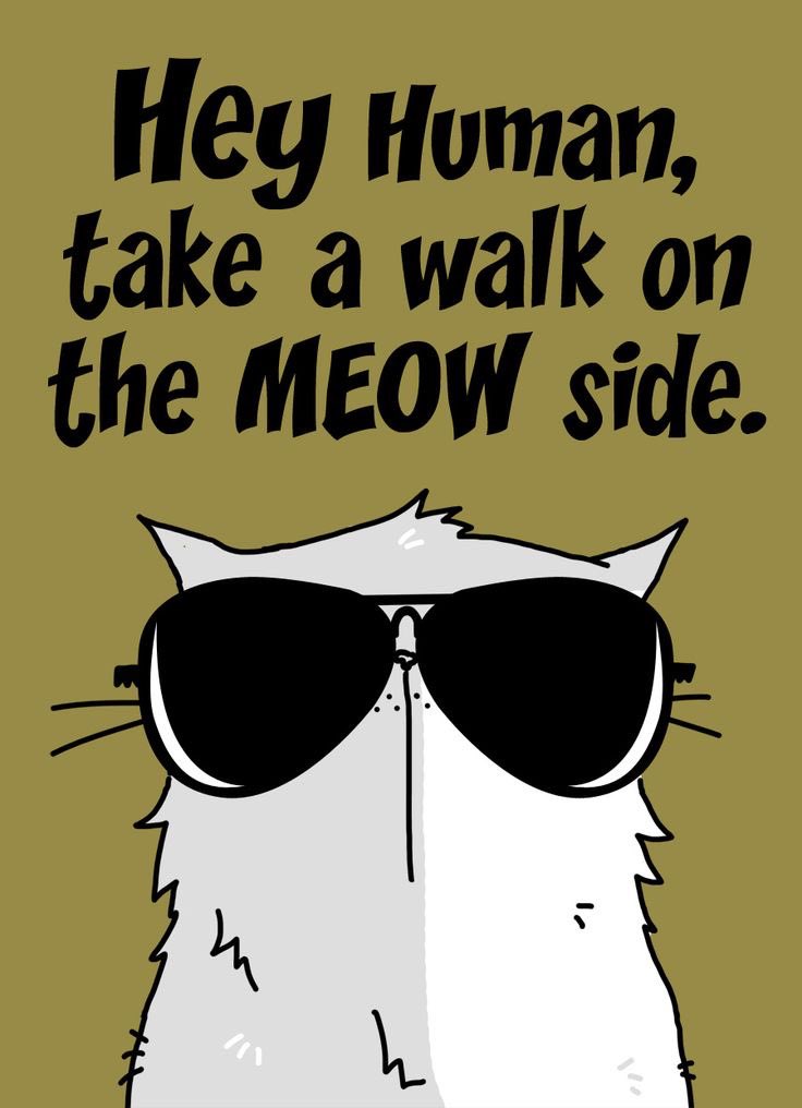 monnaghan's tweet image. #PoderosoCumpleRulo

Hey, honey…