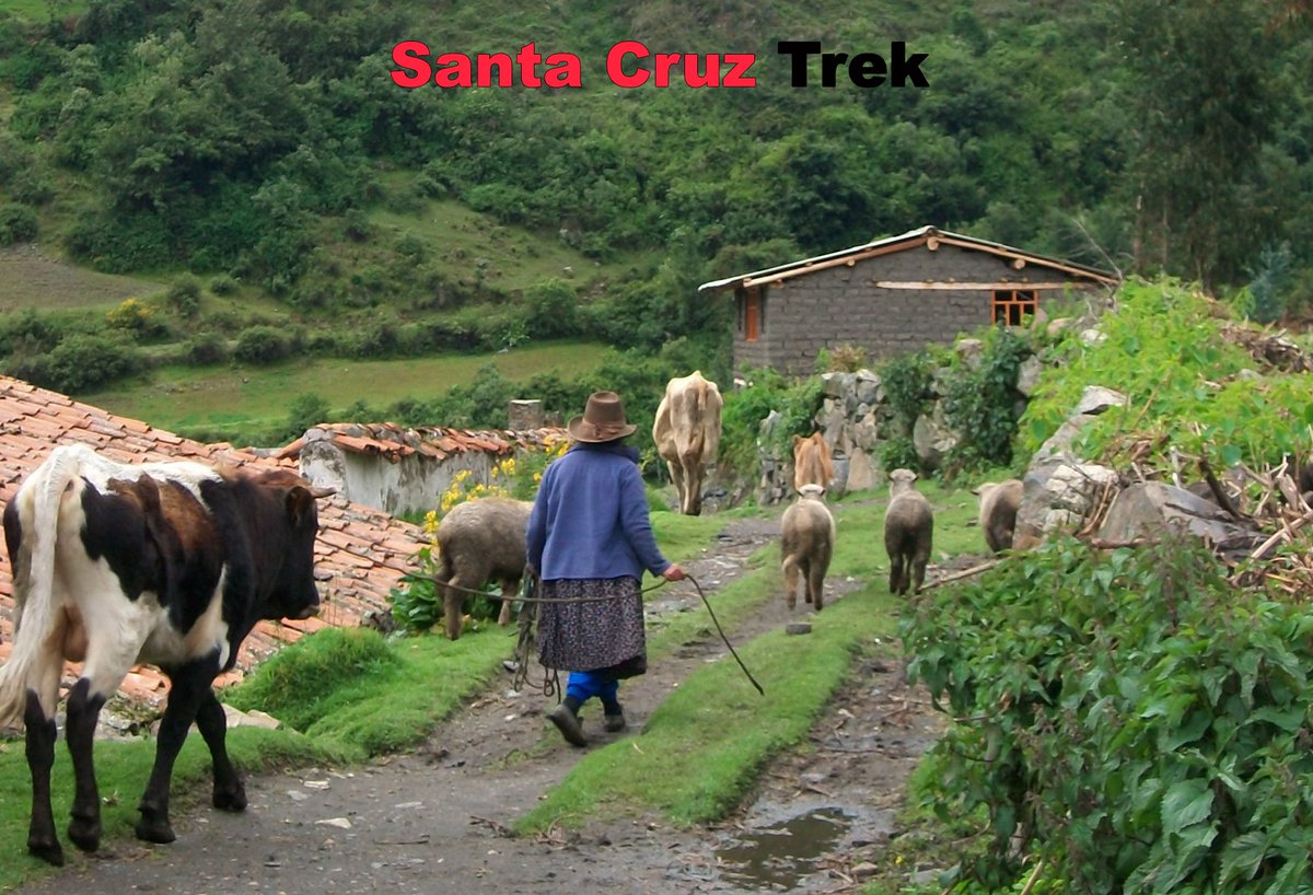SantaCruzMap's tweet image. Trekking Santa Cruz en la Cordillera Blanca.