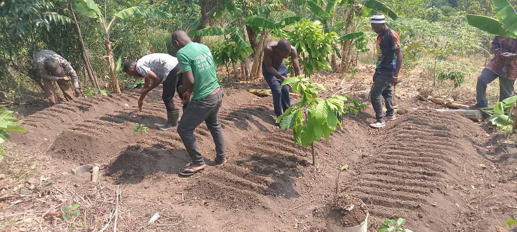 Tree Nursery bed members of Busayiro -karambi community in <a href="/BunyangabuDLG/">Bunyangabu District Local Government</a> have participated  in establishing of the community tree nursery beds. The seeds planted included Coffee, Cocoa, and Albezia. <a href="/NLinUganda/">Embassy of the Netherlands in Uganda</a> <a href="/WURenvironment/">WUR Environmental</a> <a href="/ISSDUganda/">ISSD Uganda</a>