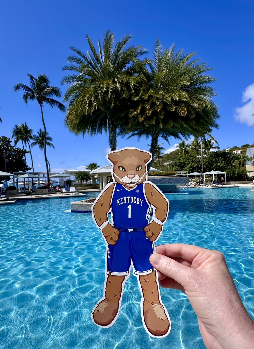 We have #FlatWildcat relaxing in St John, USVI. Go Cats!!! <a href="/universityofky/">University of Kentucky</a> <a href="/kentuckyalumni/">UK Alumni Association</a>