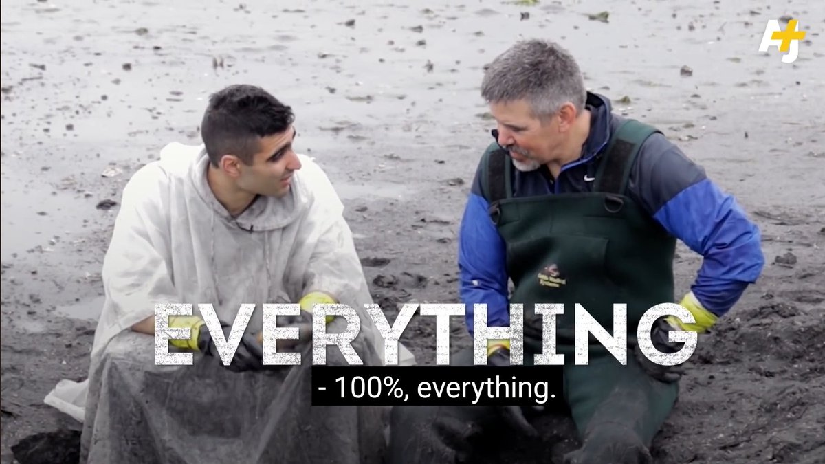 Here's an interesting video from Al Jazeera where Kurt Grinnell of Jamestown Seafood literally brags that 100% of the geoduck dug by the Jamestown S'Klallam tribe is sold to China.

The host actually double-checks to make sure he's not being hyperbolic and he confirms: no, it's