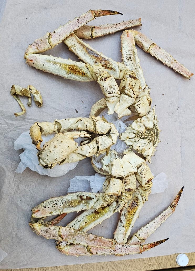 ConservationBob's tweet image. Ipswich Museum conservation for redevelopment. Ashley has been reconstructing  a large crab brought from Vladivostok in 1920. Some feet were missing. He carefully cast one of the original feet, made copies and painted them to match. The completed crab was attached to a board.