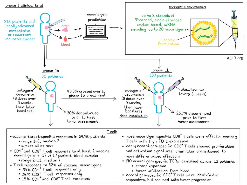 ACIR (@acir_org) on Twitter photo Tailored cancer vaccine combined with PD-1 blockade in phase 1 trial @icr_london <a href="/DRCamidge/">D. Ross Camidge</a> bit.ly/40CHemx Tailored cancer vaccine combined with PD-1 blockade in phase 1 trial @icr_london <a href="/DRCamidge/">D. Ross Camidge</a> bit.ly/40CHemx