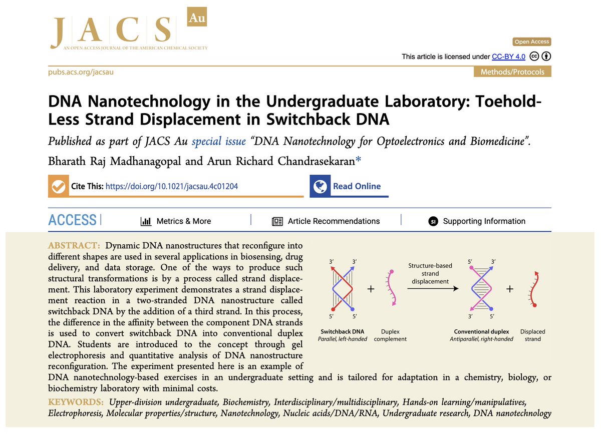 Arun Richard (@arunrichardc) on Twitter photo First paper of 2025! We adapted our recent work to an undergrad lab setting to demonstrate toehold-less strand displacement in switchback DNA. Check out the previous entries of our trilogy in the comments.
<a href="/MadhanG/">Madhanagopal B</a> <a href="/TheRNAInstitute/">The RNA Institute</a> <a href="/ACSPublications/">ACS Publications</a>
Link: pubs.acs.org/doi/10.1021/ja… First paper of 2025! We adapted our recent work to an undergrad lab setting to demonstrate toehold-less strand displacement in switchback DNA. Check out the previous entries of our trilogy in the comments.
<a href="/MadhanG/">Madhanagopal B</a> <a href="/TheRNAInstitute/">The RNA Institute</a> <a href="/ACSPublications/">ACS Publications</a>
Link: pubs.acs.org/doi/10.1021/ja…
