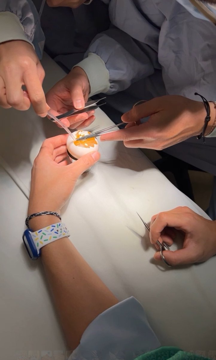 原本我只是在拿teeth想把裂開的蛋殼剝光
學長突然說要縫蛋殼膜
接著就變這樣了 一下專業了起來