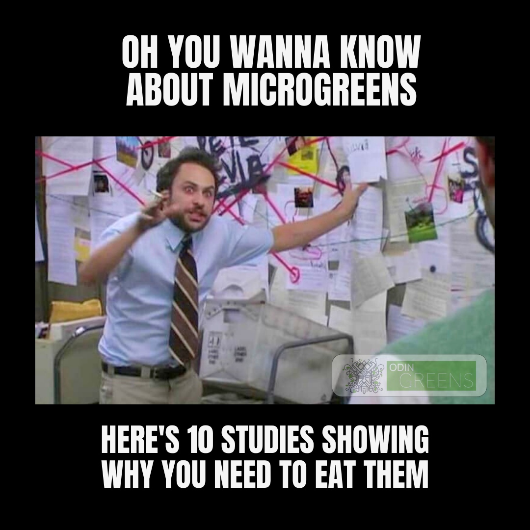 odingreens's tweet photo. The Science Behind Microgreens: Research shows that adding microgreens to your diet can improve health, prevent chronic diseases, and boost overall well-being. Make a smart choice for your health and try microgreens today! 

See the benefits for yourself and make the change to... https://t.co/IdreT6iy5D