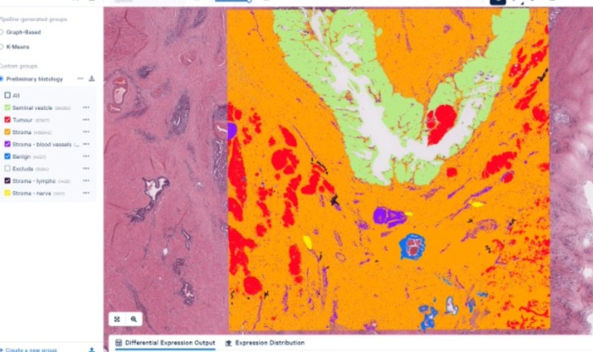 LambAlastair's tweet image. •Are you a data scientist / bioinformatician / computational biologist?
•Are you interested in #SpatialGenomics?
•Do you want to apply your skills to big questions in #ProstateCancer?
Apply here!! 👇 (closing date 12th Feb)
qmul-jobs.tal.net/vx/mobile-0/ap…
#SPACE_Study #Organscale