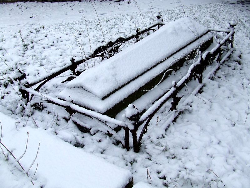 Will You Survive The Winter? tweet media