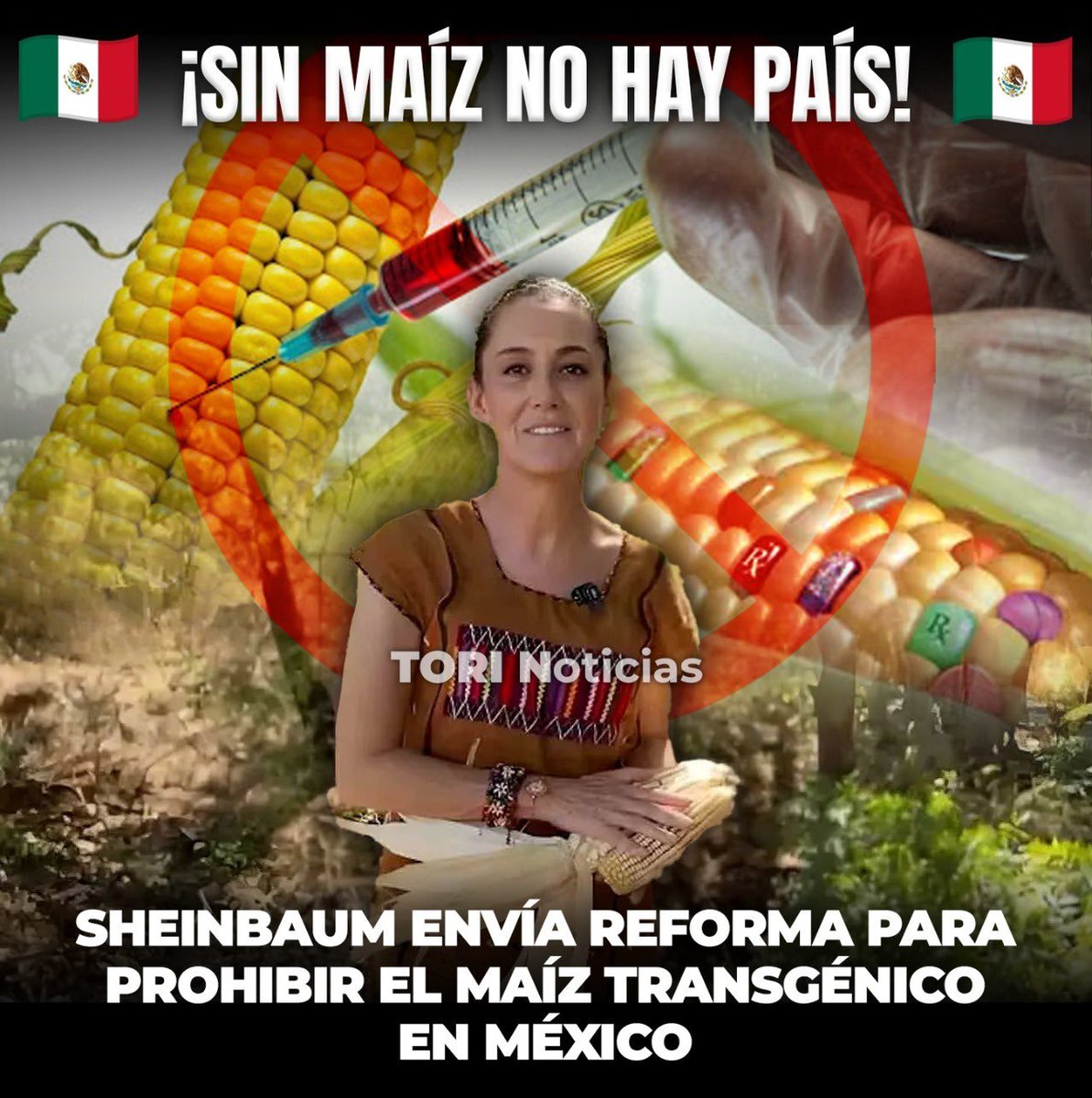 ¡URGENTE! 🚨🚨

La presidenta <a href="/Claudiashein/">Claudia Sheinbaum Pardo</a> envío la reforma constitucional para prohibir el maíz transgénico en México. 

Con el objetivo de establecer que el maíz es un elemento de identidad nacional, cuyo cultivo debe ser libre de transgénicos y además fomentar las técnicas