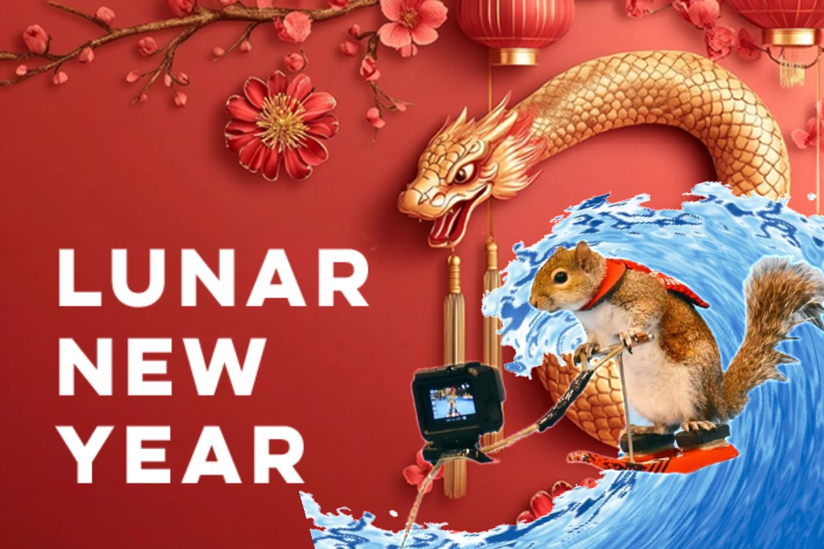 TWIGGY The Squirrel | FAN Page tweet media