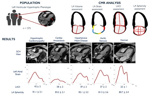 How does the left atrium remodels in the various etiologies of LV hypertrophy? <a href="/MartinaRaffele/">Martina De Raffele</a> provides you more information about it 👇👇👇academic.oup.com/ehjcimaging/ar…
Kudos to Martina and the Cardiovascular Imaging team of the @IcorCat <a href="/GermanECediel/">German E Cediel</a>! <a href="/hgermanstrias/">Hosp. Germans Trias</a> <a href="/GTRecerca/">IGTP</a>