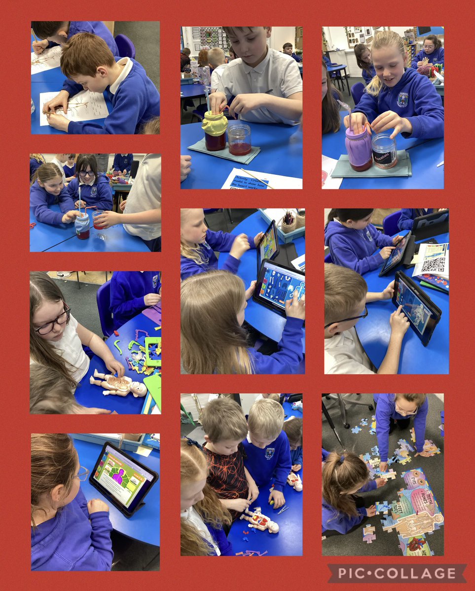 Y4 immersion day for our new theme, Blood, Bones &amp; Gory Bits! We have created a model of a heart to pump blood, investigated the bones in the skeleton, created moving hands, used IT, read books &amp; played games to help us begin our learning journey🩻🧠🫁